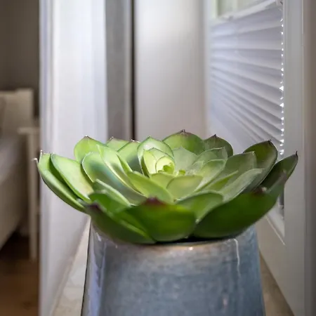 Haus Pusteblume 4 Wyk auf Föhr